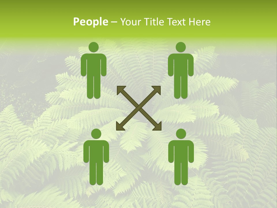 Branch Canopy Nature PowerPoint Template