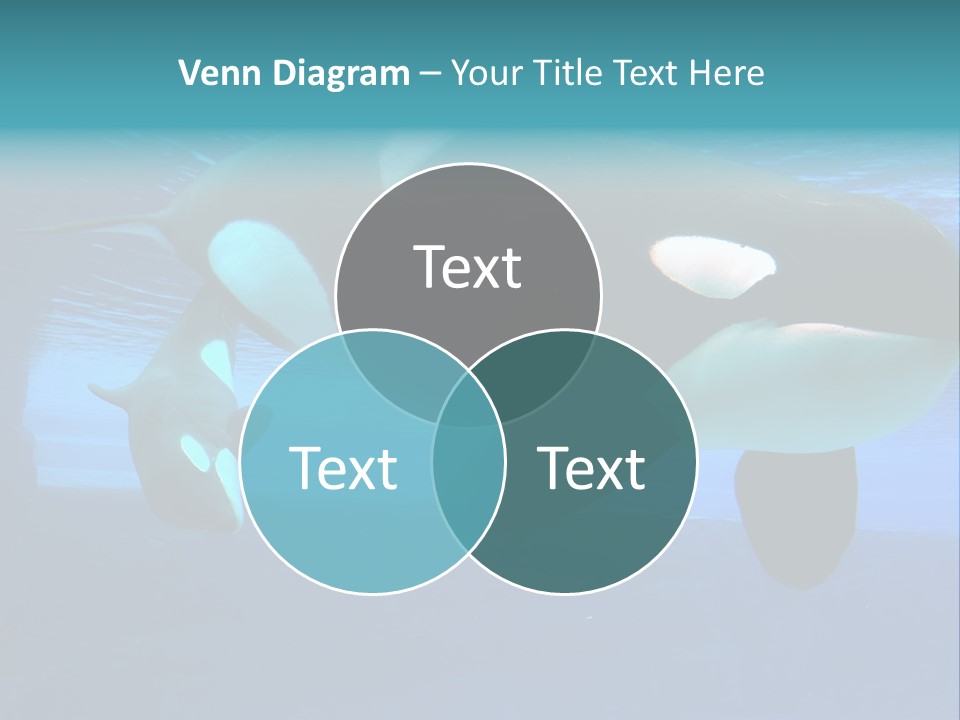 Black Blue Mother PowerPoint Template