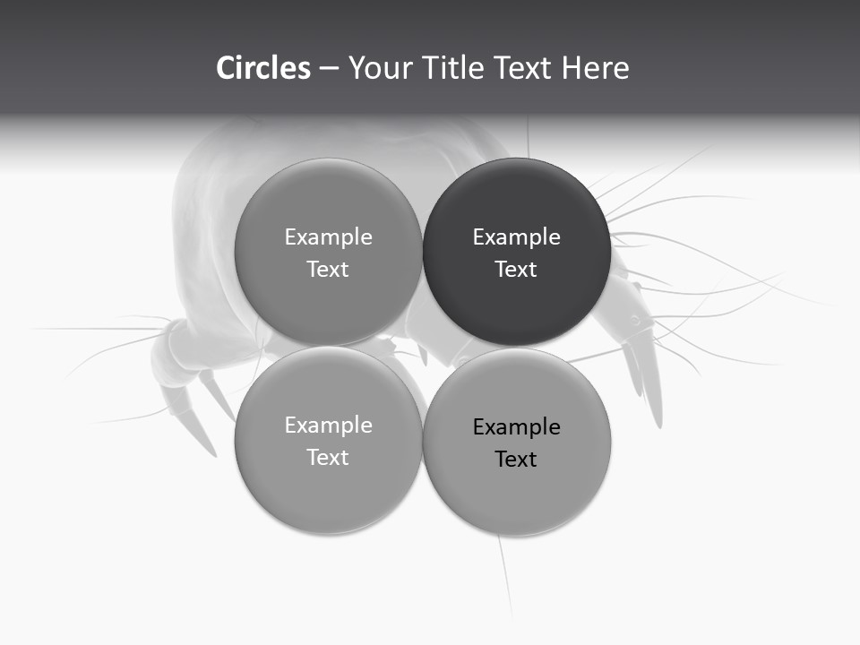 Bed Skincells Micro PowerPoint Template