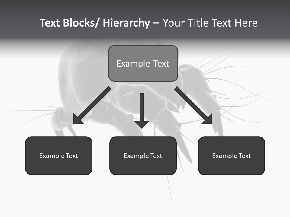 Bed Skincells Micro PowerPoint Template