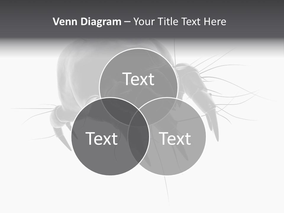 Bed Skincells Micro PowerPoint Template