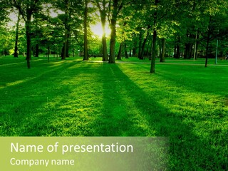 Beam Cast Natural PowerPoint Template