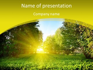 Outdoor Summer Forest PowerPoint Template