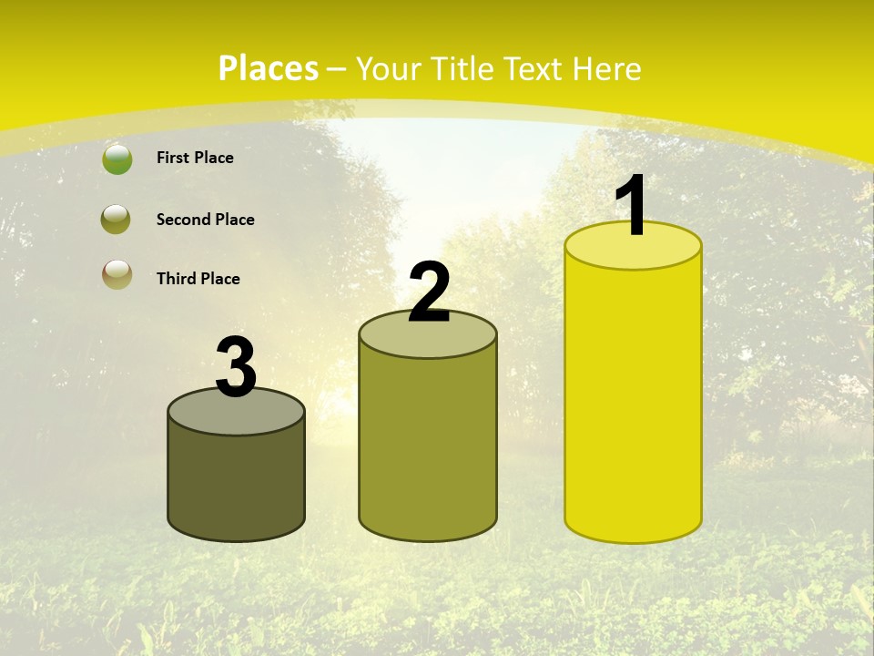 Outdoor Summer Forest PowerPoint Template