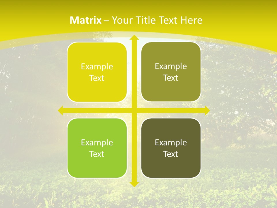 Outdoor Summer Forest PowerPoint Template