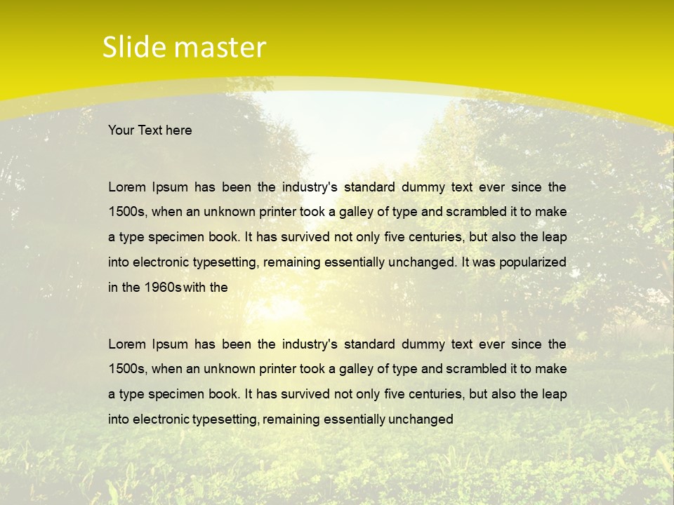 Outdoor Summer Forest PowerPoint Template