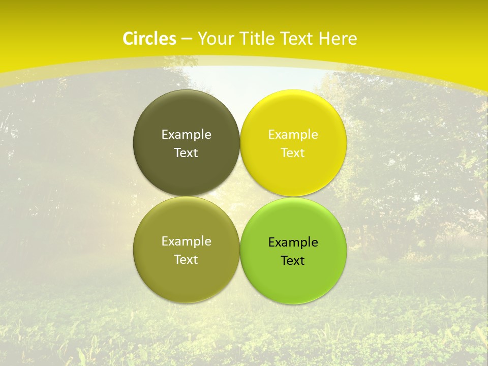 Outdoor Summer Forest PowerPoint Template