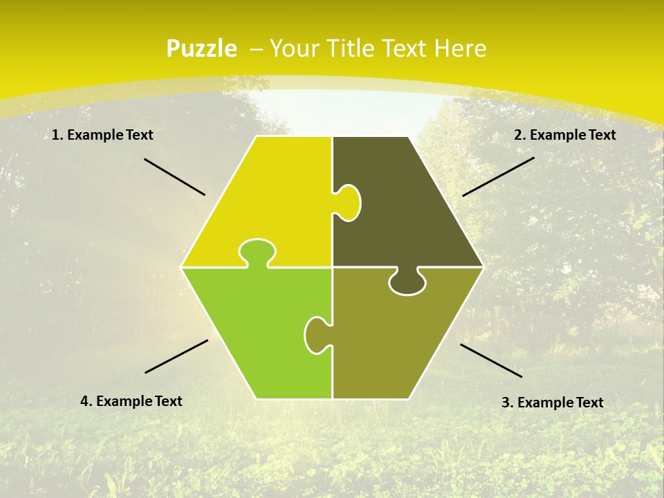 Outdoor Summer Forest PowerPoint Template