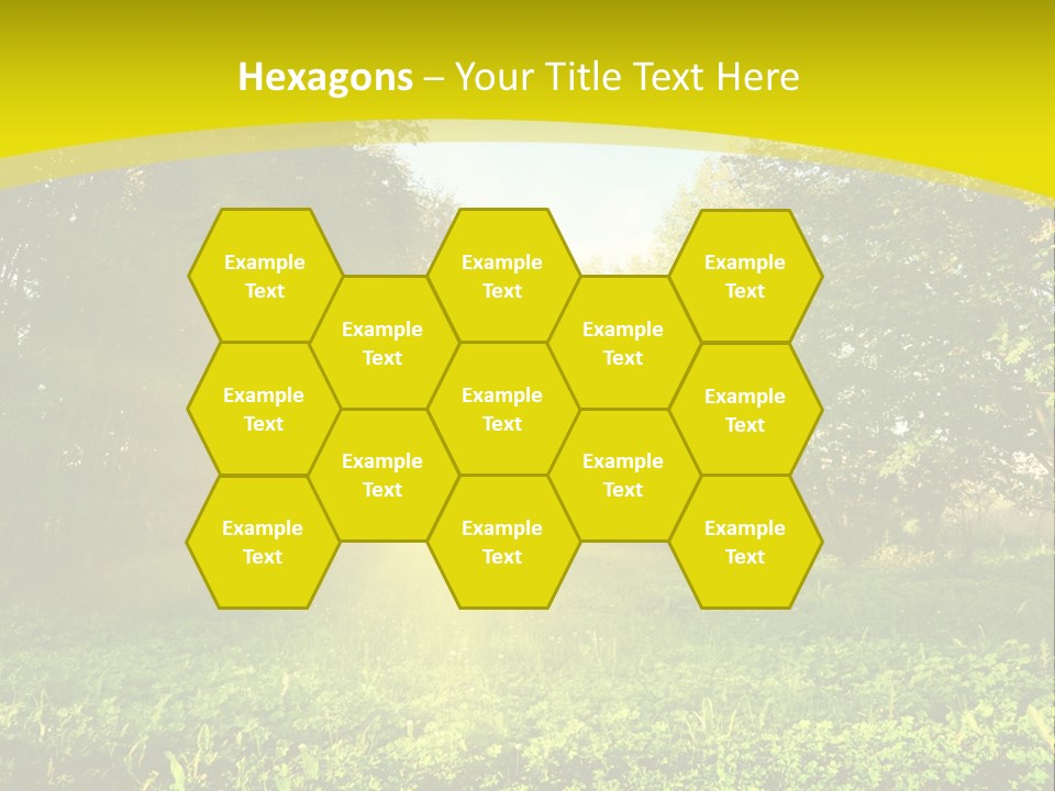 Outdoor Summer Forest PowerPoint Template