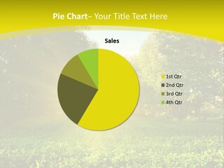 Outdoor Summer Forest PowerPoint Template