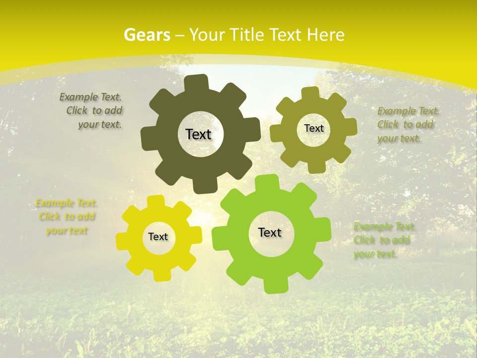 Outdoor Summer Forest PowerPoint Template