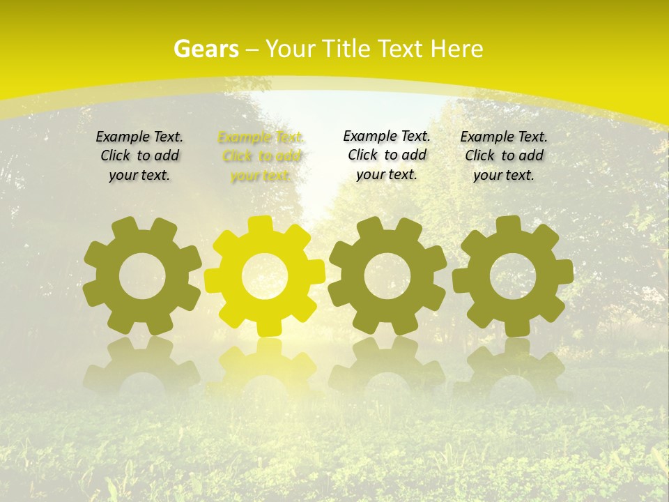 Outdoor Summer Forest PowerPoint Template