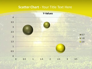 Outdoor Summer Forest PowerPoint Template