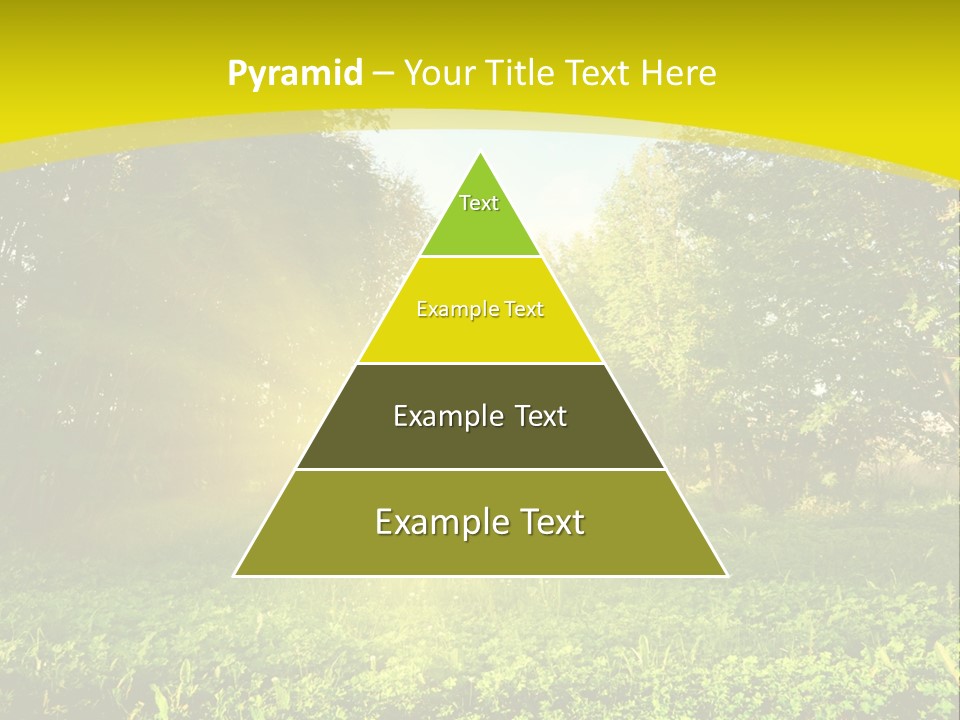 Outdoor Summer Forest PowerPoint Template