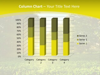 Outdoor Summer Forest PowerPoint Template