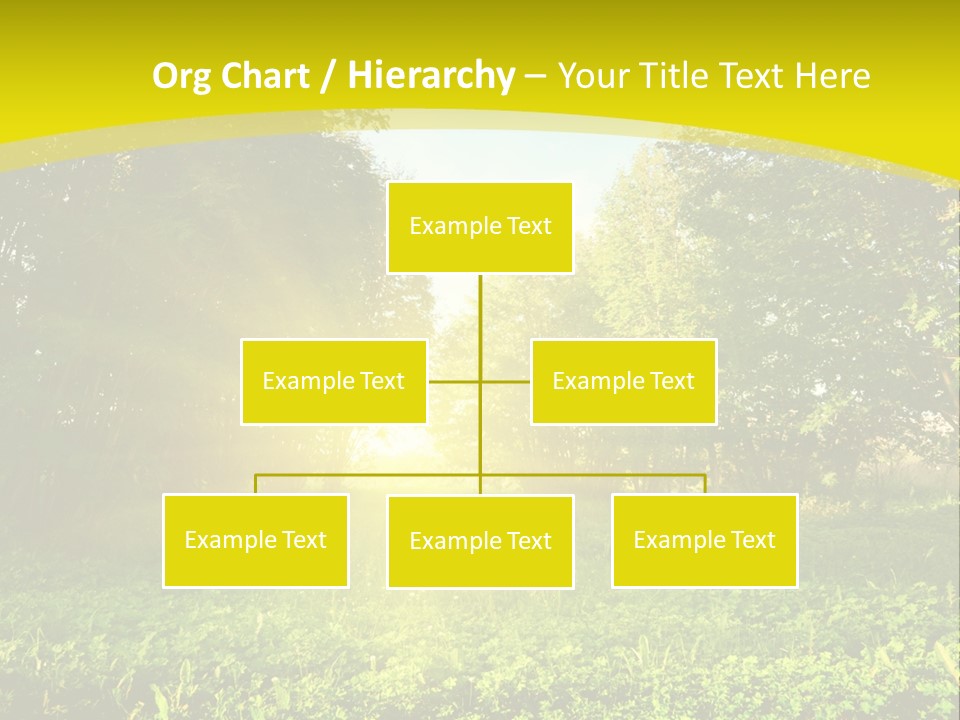 Outdoor Summer Forest PowerPoint Template