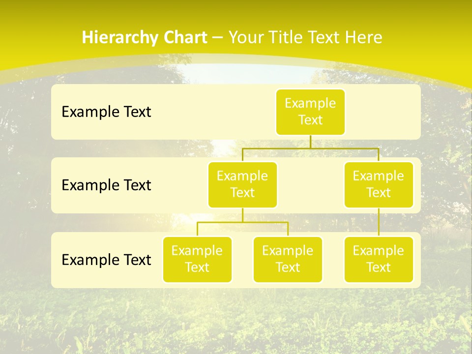 Outdoor Summer Forest PowerPoint Template