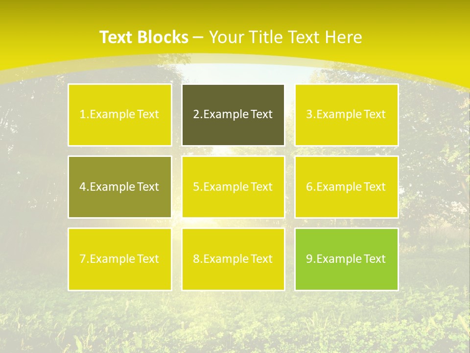 Outdoor Summer Forest PowerPoint Template