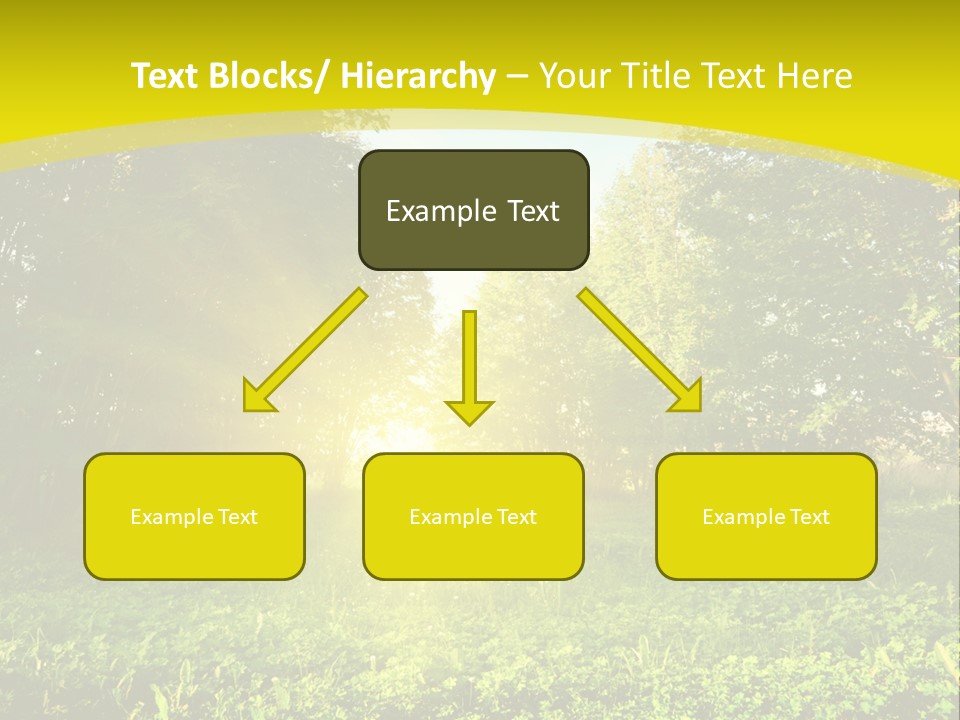 Outdoor Summer Forest PowerPoint Template