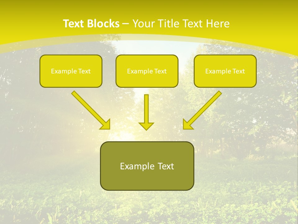 Outdoor Summer Forest PowerPoint Template
