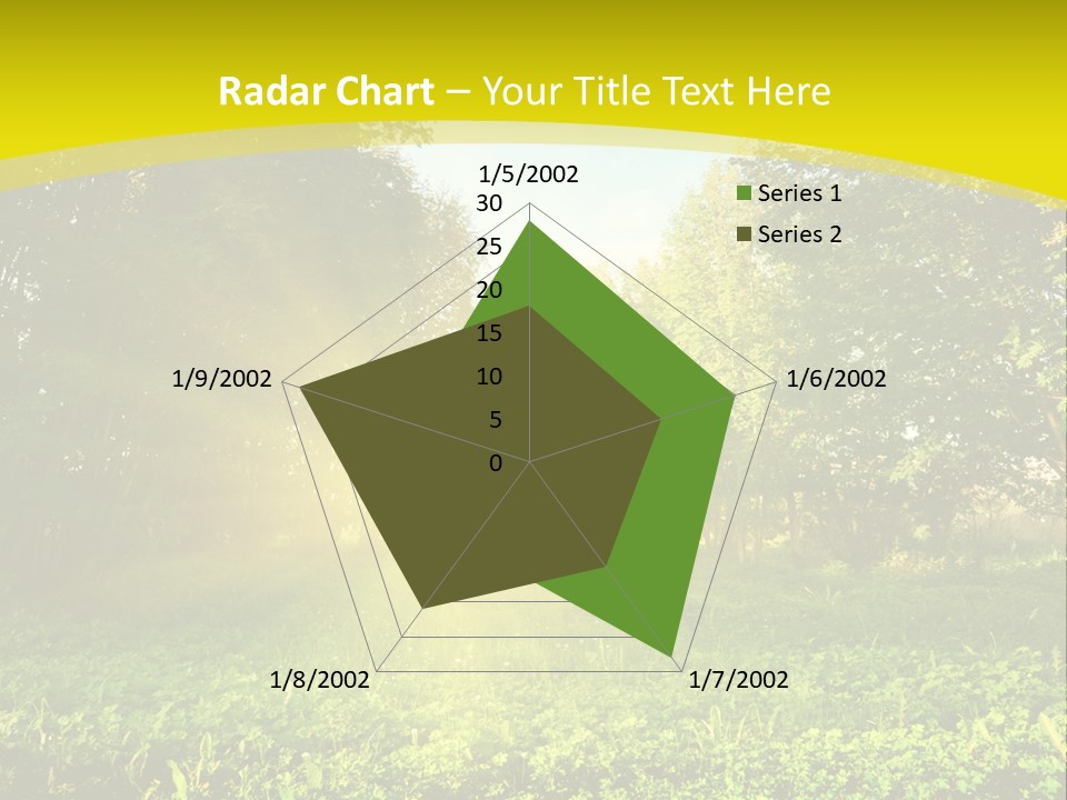 Outdoor Summer Forest PowerPoint Template