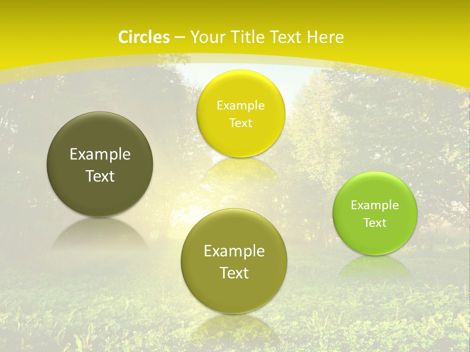 Outdoor Summer Forest PowerPoint Template