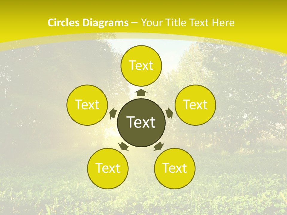 Outdoor Summer Forest PowerPoint Template