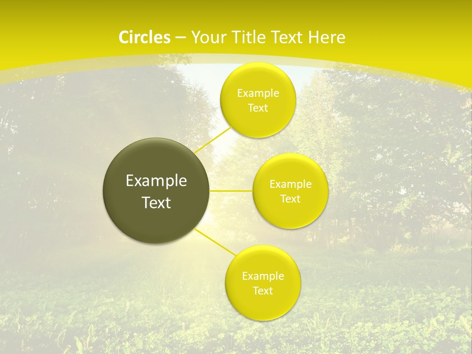 Outdoor Summer Forest PowerPoint Template