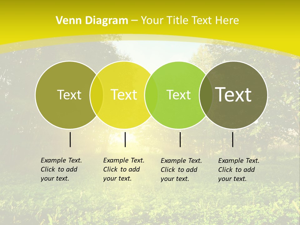Outdoor Summer Forest PowerPoint Template