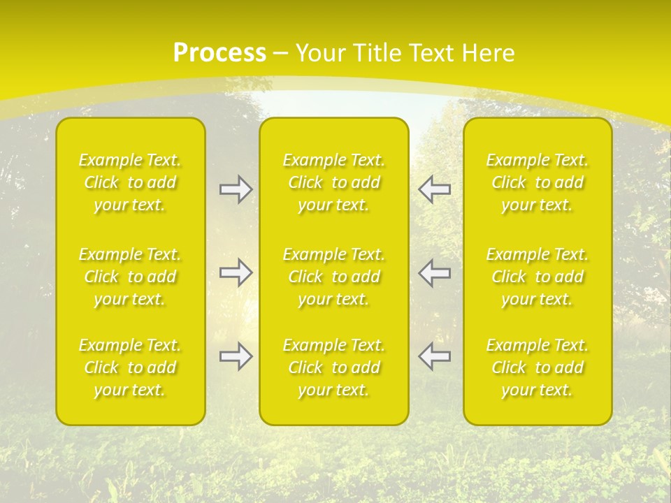 Outdoor Summer Forest PowerPoint Template