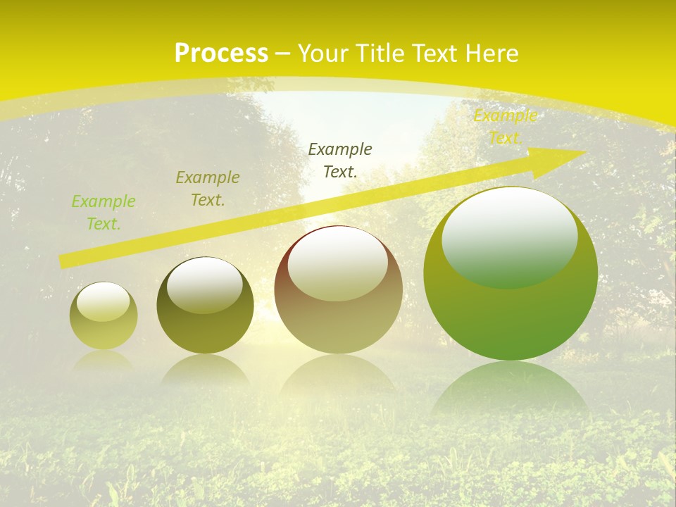 Outdoor Summer Forest PowerPoint Template