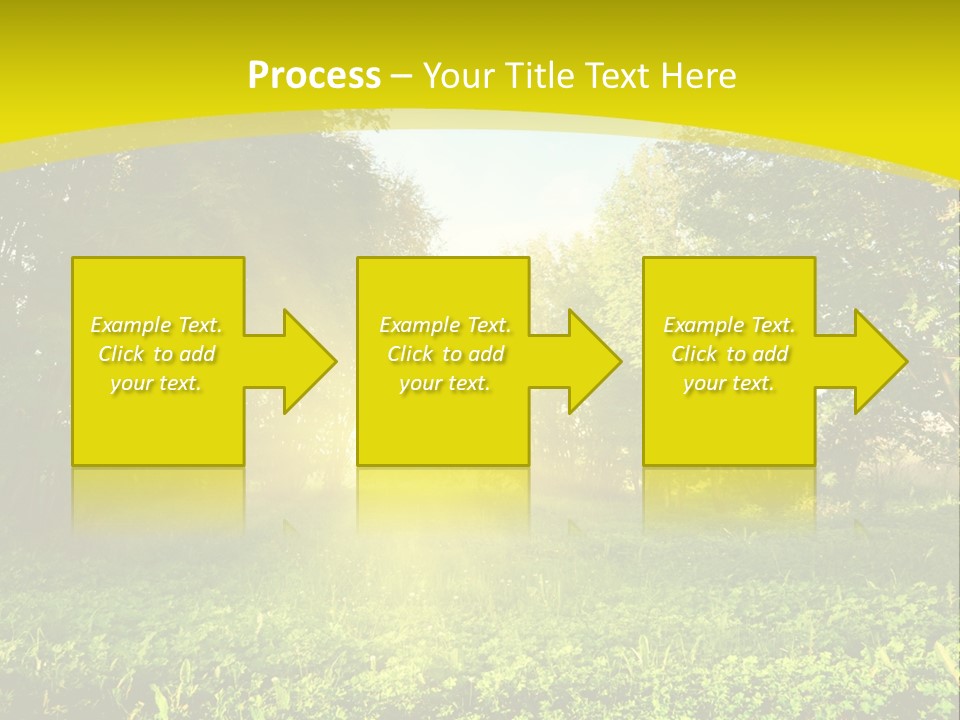 Outdoor Summer Forest PowerPoint Template