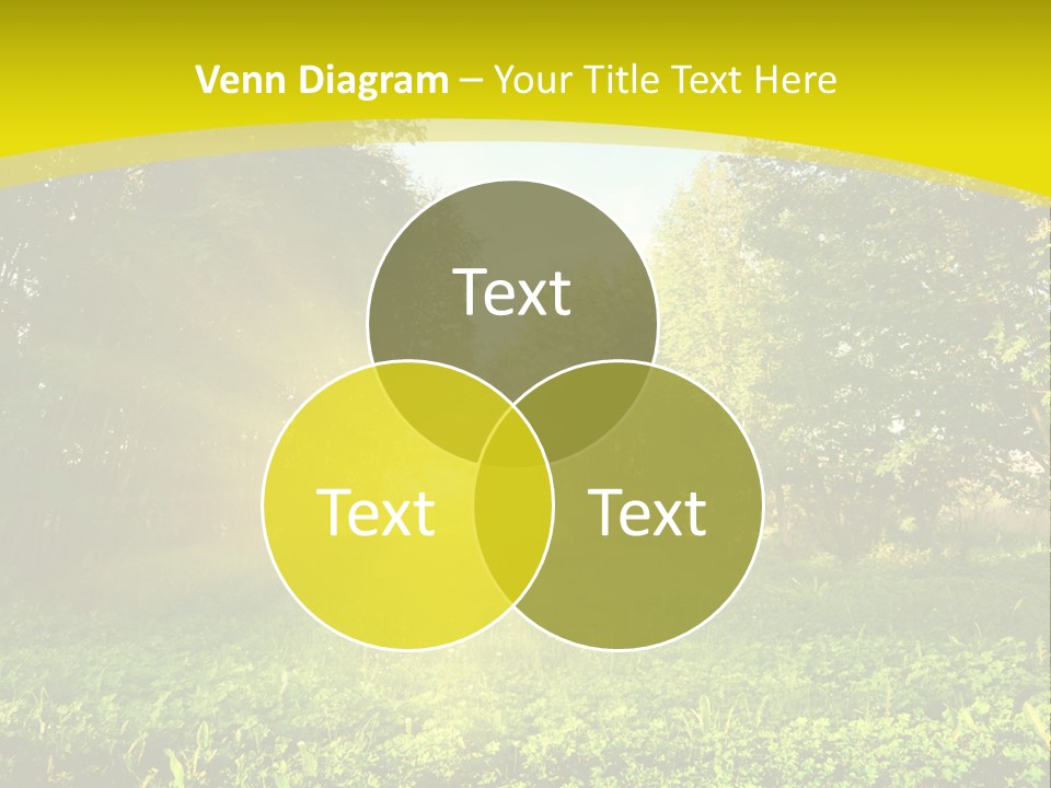 Outdoor Summer Forest PowerPoint Template