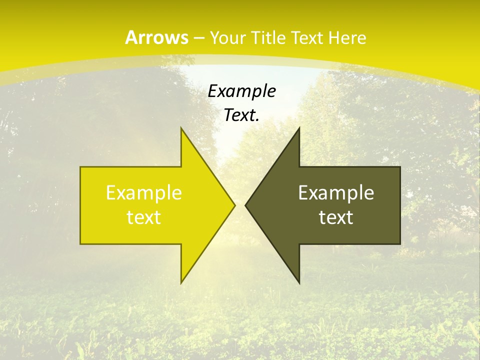 Outdoor Summer Forest PowerPoint Template