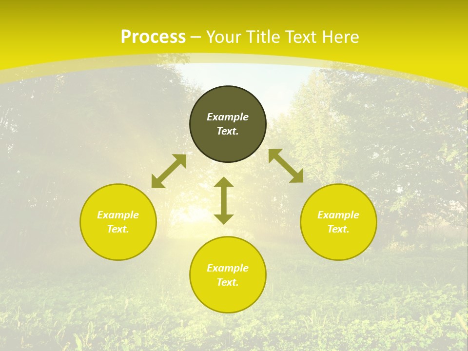 Outdoor Summer Forest PowerPoint Template