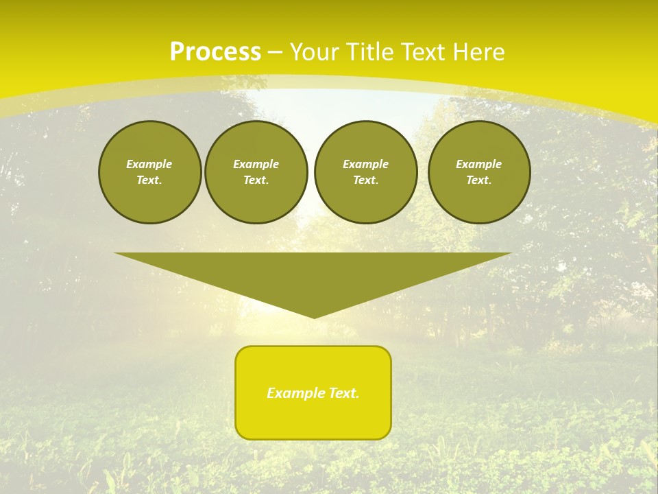Outdoor Summer Forest PowerPoint Template