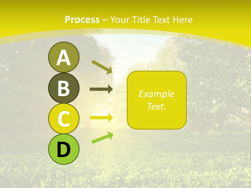 Outdoor Summer Forest PowerPoint Template