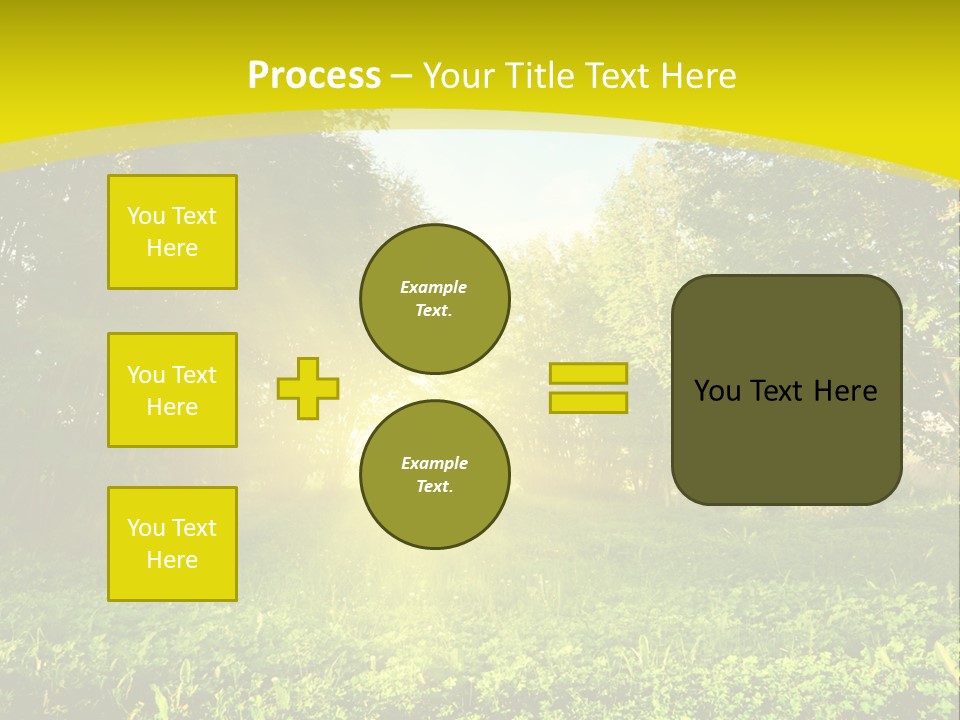 Outdoor Summer Forest PowerPoint Template
