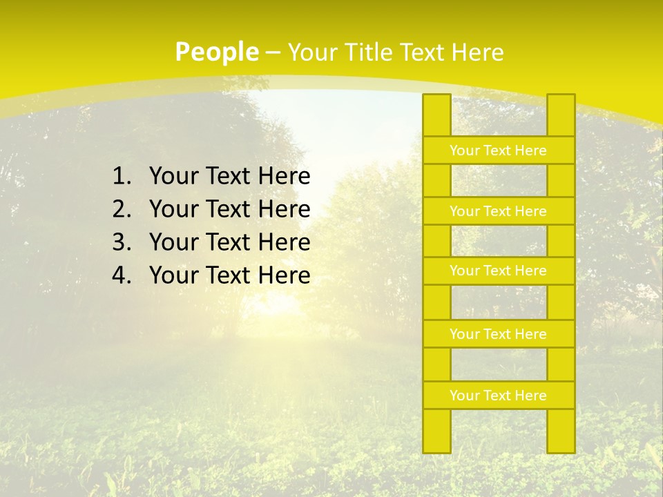 Outdoor Summer Forest PowerPoint Template