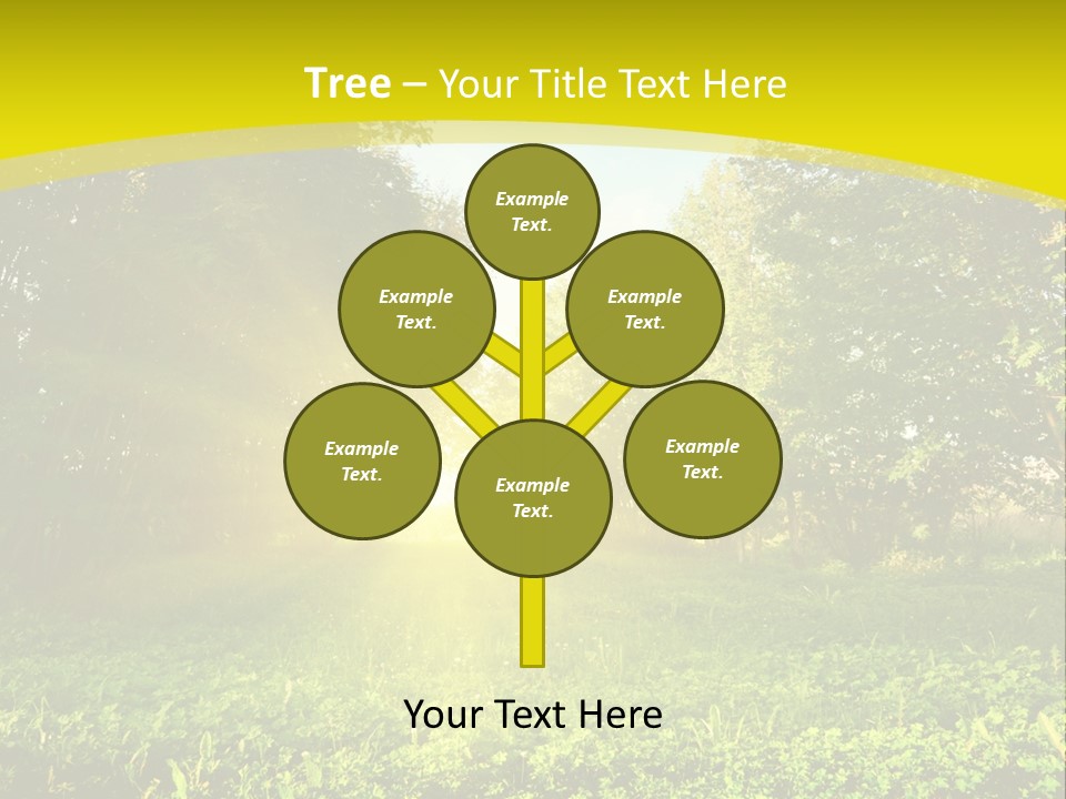 Outdoor Summer Forest PowerPoint Template