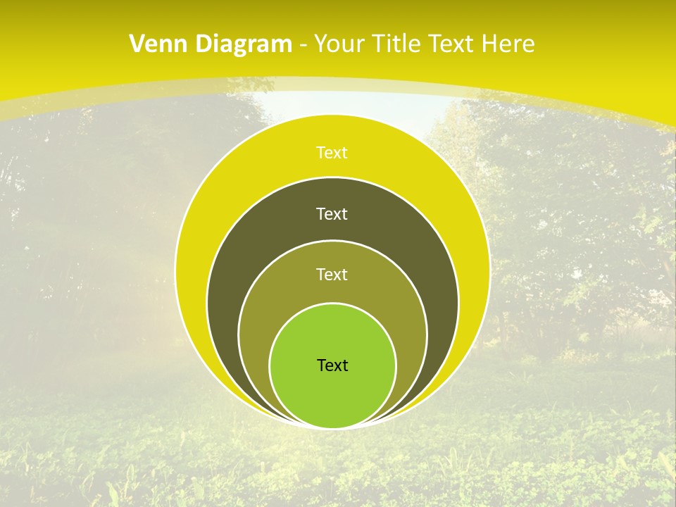 Outdoor Summer Forest PowerPoint Template