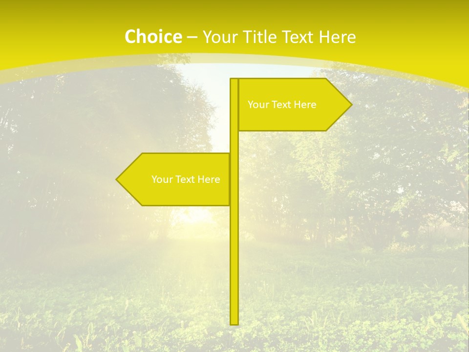 Outdoor Summer Forest PowerPoint Template