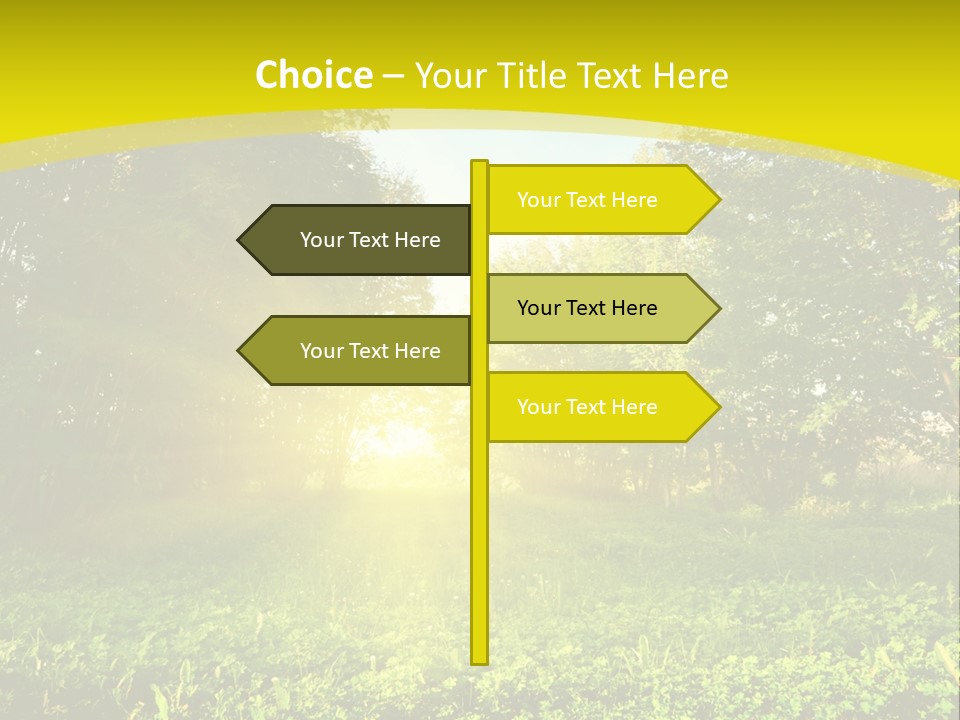 Outdoor Summer Forest PowerPoint Template