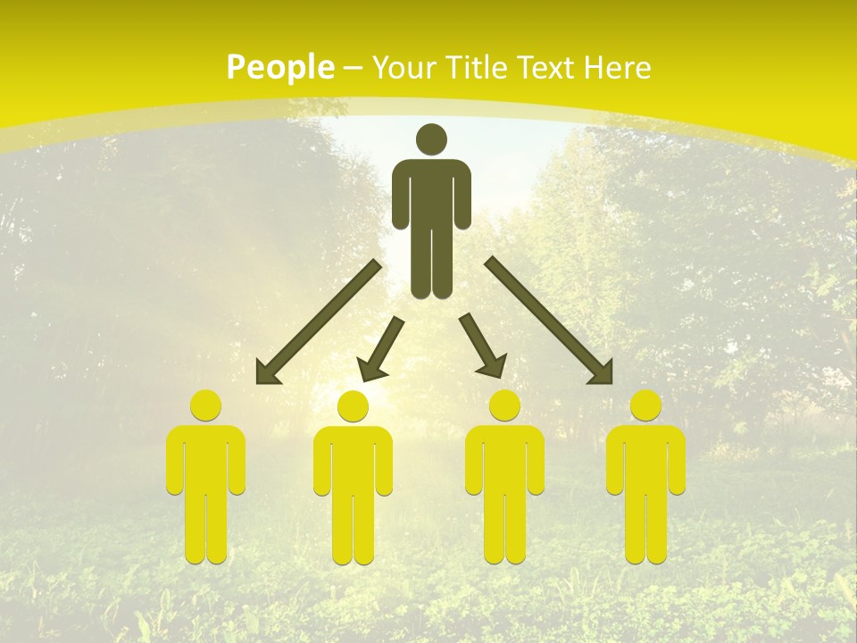 Outdoor Summer Forest PowerPoint Template