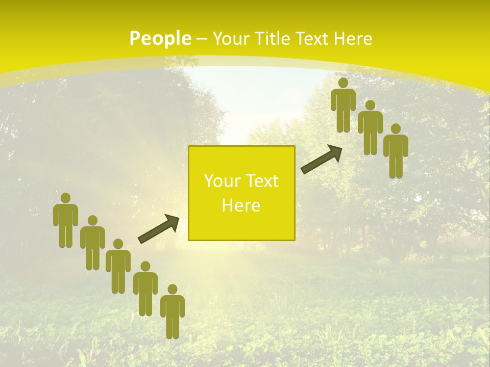 Outdoor Summer Forest PowerPoint Template