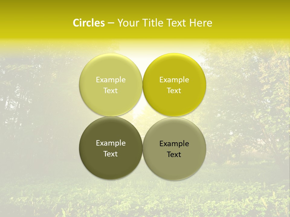 Sunrise Park Spring PowerPoint Template