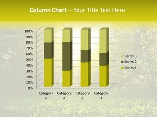 Sunrise Park Spring PowerPoint Template