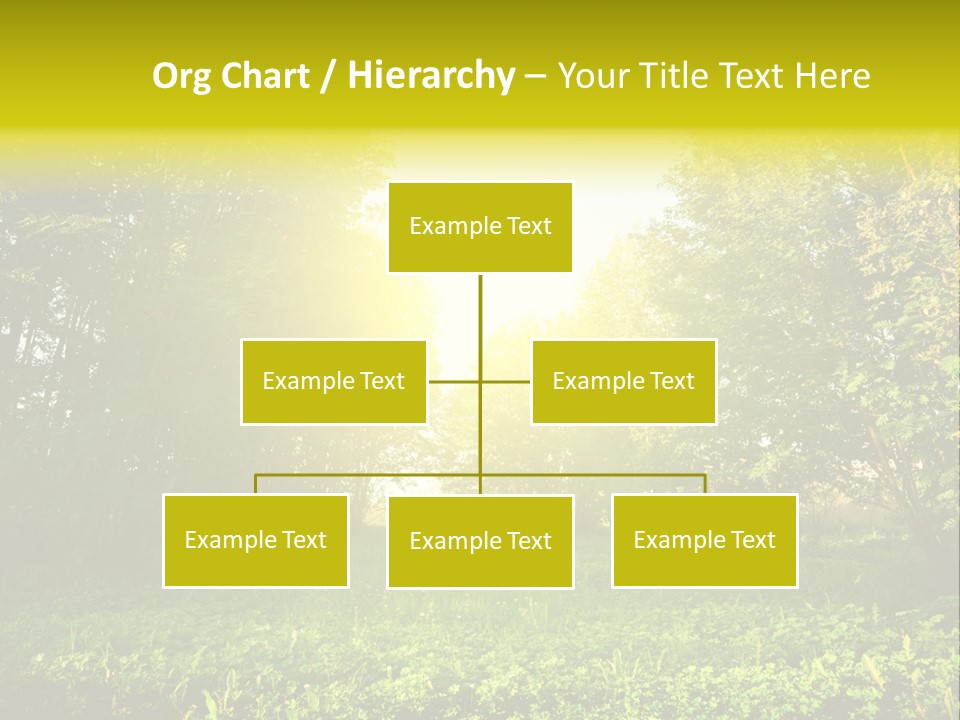 Sunrise Park Spring PowerPoint Template