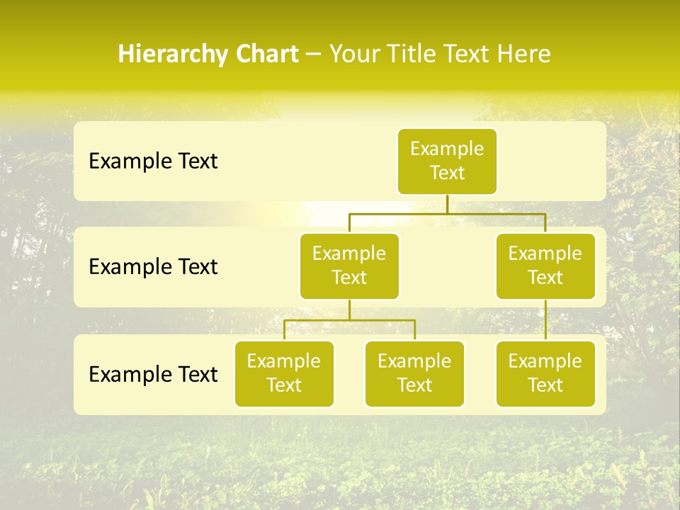 Sunrise Park Spring PowerPoint Template