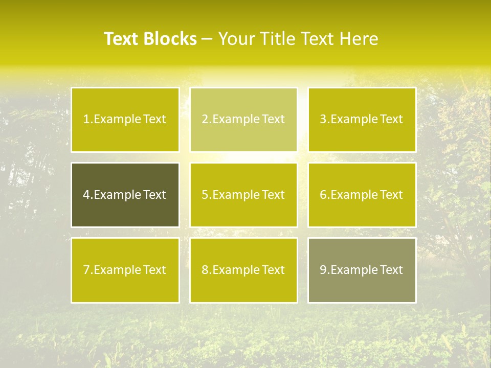 Sunrise Park Spring PowerPoint Template